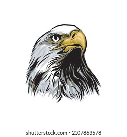 eagle head vector illustrations, hand drawing image