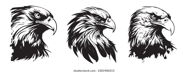 Eagle heads black and white vector. Silhouette svg shapes of eagle illustration. svg
