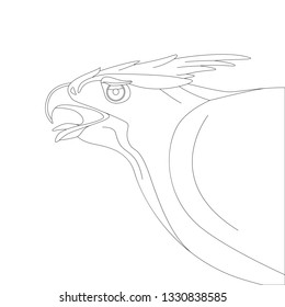 eagle head,vector illustration