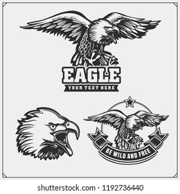 Eagle heraldry coat of arms. Labels, emblems and design elements for sport club.