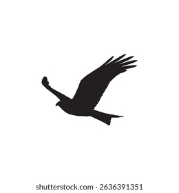 Eagle in Hunting Flight Silhouette