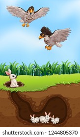 An Eagle Hunting Rabbit Illustration