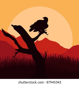 Eagle hunting in wild nature landscape illustration