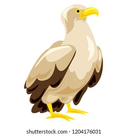 Eagle icon. Cartoon of eagle vector icon for web design isolated on white background