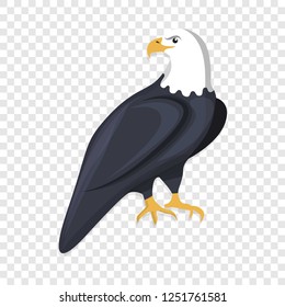 Eagle icon. Cartoon of eagle vector icon for web design  