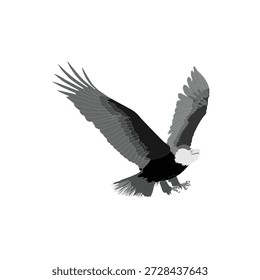 Eagle Icon, Free Eagle Victor, Free Eagle Vector