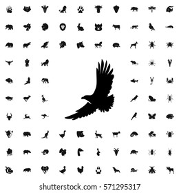 eagle icon illustration isolated vector sign symbol