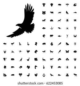 Eagle icon illustration isolated vector sign symbol. animals icons vector set. on white background