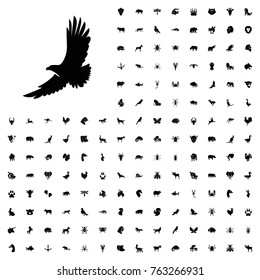 Eagle icon illustration isolated vector sign symbol. animals icon set for web and mobile.