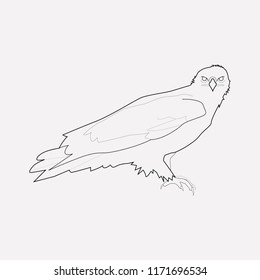 Eagle icon line element. Vector illustration of eagle icon line isolated on clean background for your web mobile app logo design.