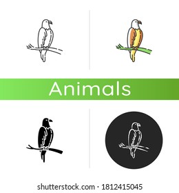Eagle icon. Linear black and RGB color styles. Dangerous bird of prey, flying animal, winged predator. American national. Hawk, falcon sitting on tree branch isolated isolated vector illustrations