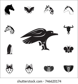 eagle icon. Set of animal icons. You can use in web or app icons on white background