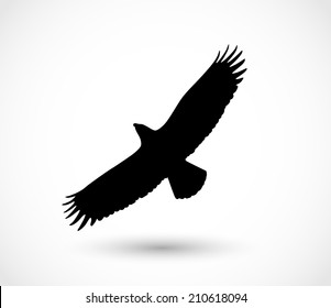 Eagle icon vector