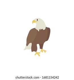 eagle icon vector illustration. Cartoon style bird, isolated on a white background