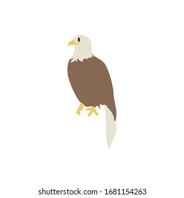 eagle icon vector illustration. Cartoon style bird, isolated on a white background