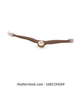 eagle icon vector illustration. Cartoon style bird, isolated on a white background