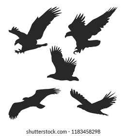 eagle icons set , black bird , falcon heraldry symbol with spread wings