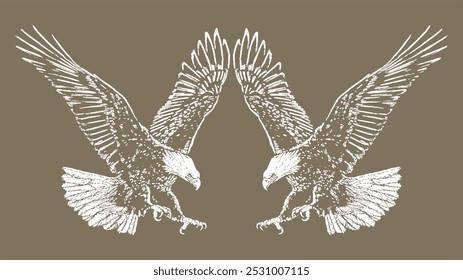 Eagle illustration. American Bald Eagle . An eagle cartoon character