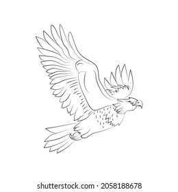 eagle illustration for children coloring book 