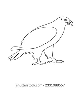 Eagle illustration in doodle style. Vector isolated on a white background. 
