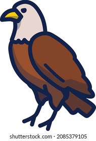 Eagle illustration icon design flat animals
