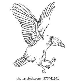 Eagle illustration on simple white background