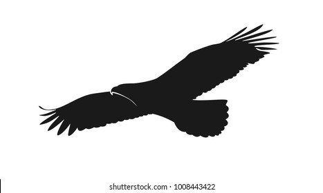 eagle illustration symbol. eagle silhouette.