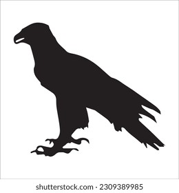 eagle illustration symbol. eagle silhouette.