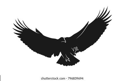 eagle illustration symbol. eagle silhouette.