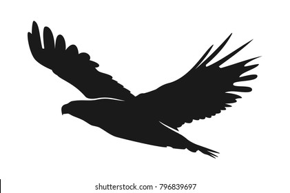 eagle illustration symbol. eagle silhouette.