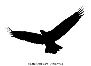 eagle illustration symbol. eagle silhouette.