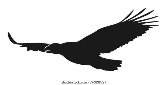 eagle illustration symbol. eagle silhouette.