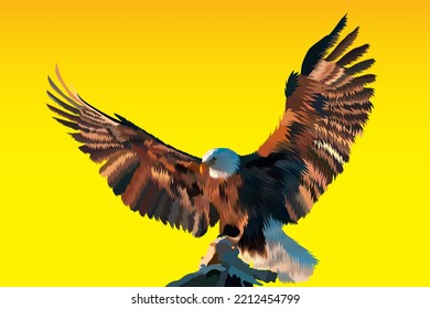 eagle illustration vector eps 10