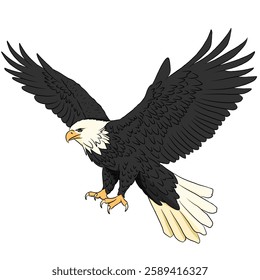 Eagle illustration, eagle vector icon isolated on white background.