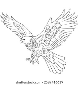 Eagle illustration, eagle vector icon isolated on white background. Line art.