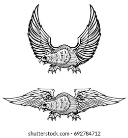 Eagle illustrations isolated on white background. Vector illustration