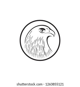 eagle ilustration vector logo design