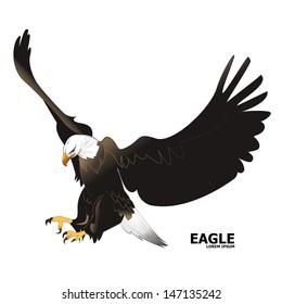 Eagle - Isolated On White Background - Vector Illustration, Graphic Design Editable For Your Design.