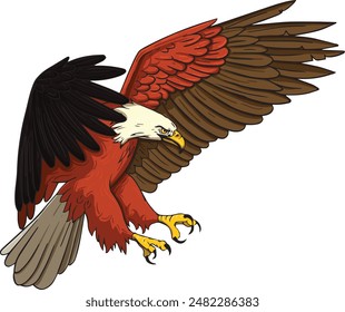 Águila aislada sobre fondo blanco. ilustración Vector