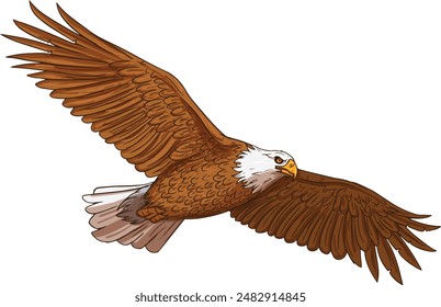 Águila aislada sobre fondo blanco. ilustración Vector
