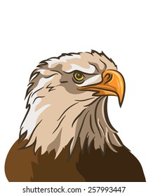eagle isolated on white background