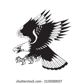Eagle isolated on white vector illustration. World symbol of freedom. Retro color logo of falcon. Eagle detailed logo.
