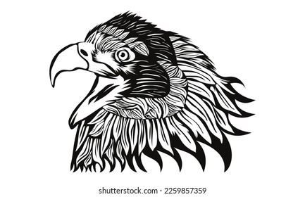 Eagle isolated on white vector illustration. Hand drawn style print