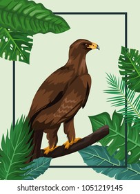 Eagle in the jungle