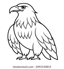 eagle for kids coloring book design illustration