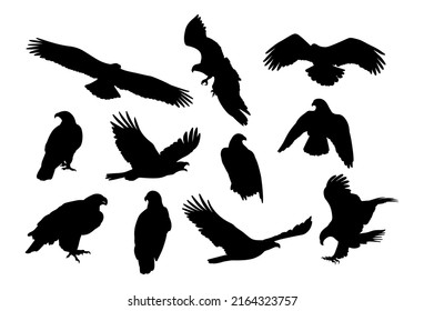 Eagle, kite. Black and white bird silhouette. svg
