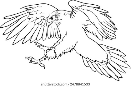 eagle landing  line vector illustration isolated on white background