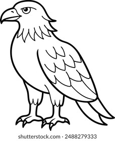 Eagle Line art vector illustration desin template color page