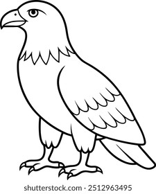 Eagle line art vector illustration in majestic style