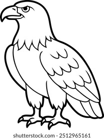Eagle line art vector illustration detailed head
